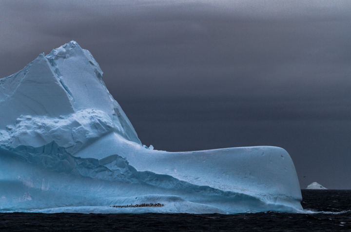 Científicos crean la mayor base de datos sobre el contenido de icebergs