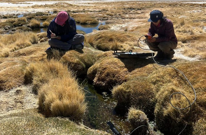 Humedales altiplánicos chilenos fueron destacados en Estados Unidos