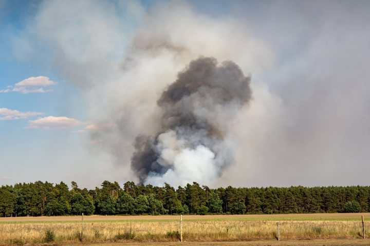 Ingeniero chileno investiga comportamiento del fuego en condiciones de microgravedad