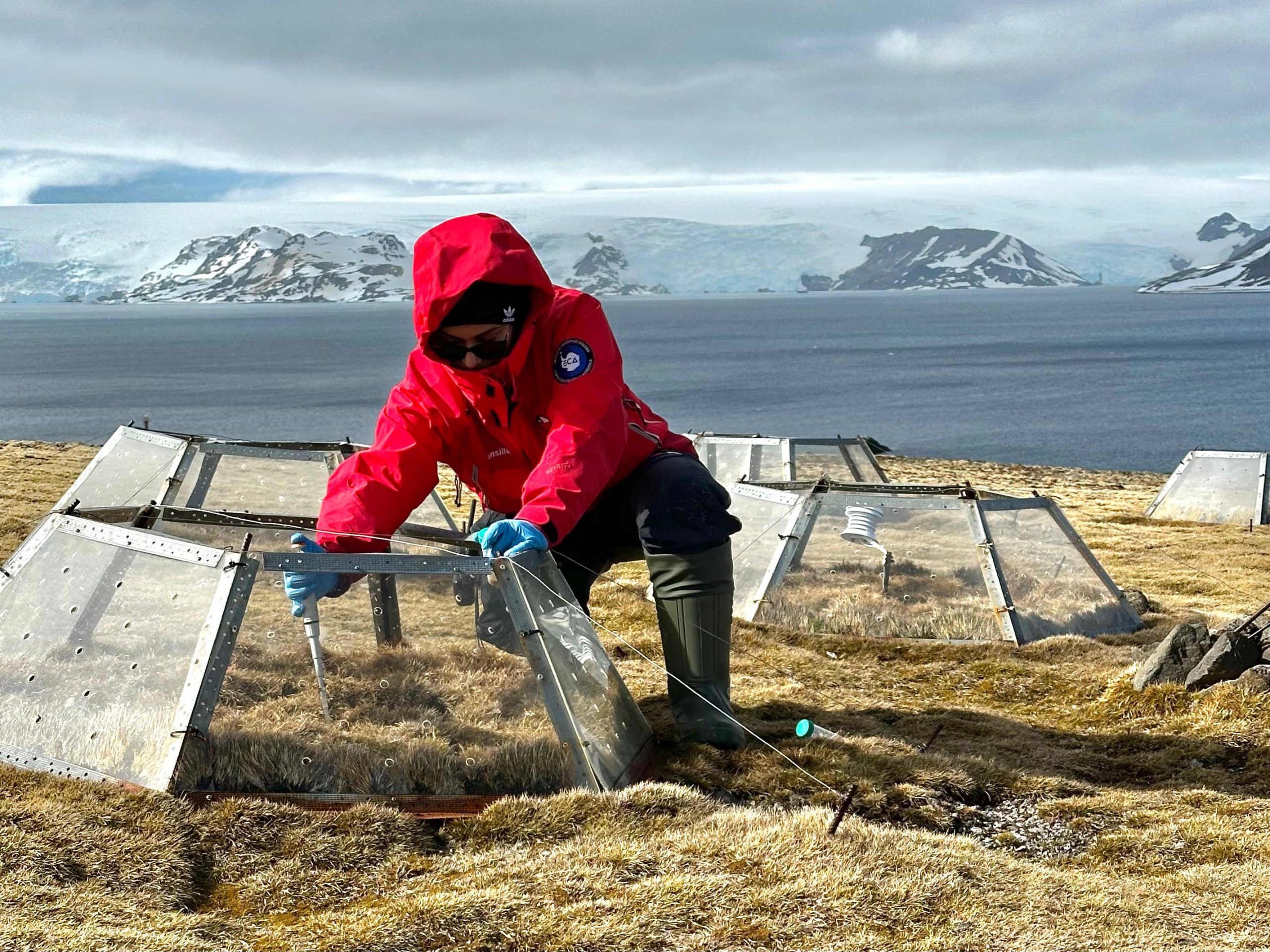 El ambicioso proyecto de una científica para catalogar nuevas bacterias de la Antártica