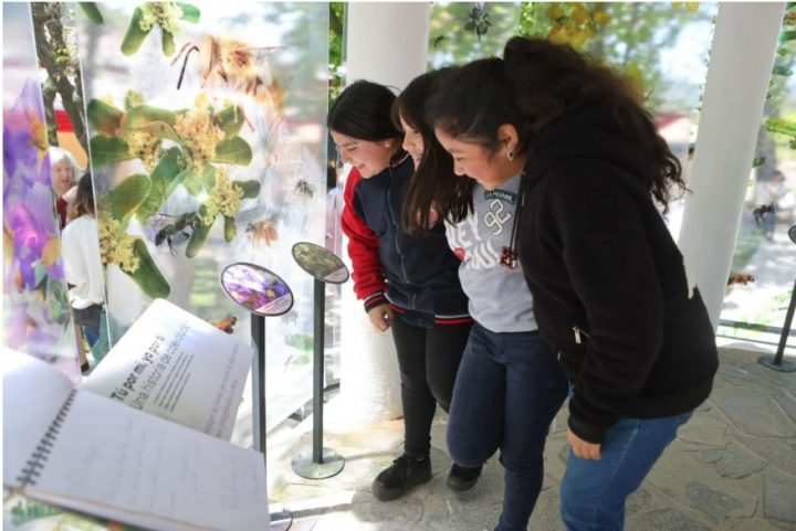 MinCiencia entregará 1.100 millones de pesos para proyectos que acercan la ciencia