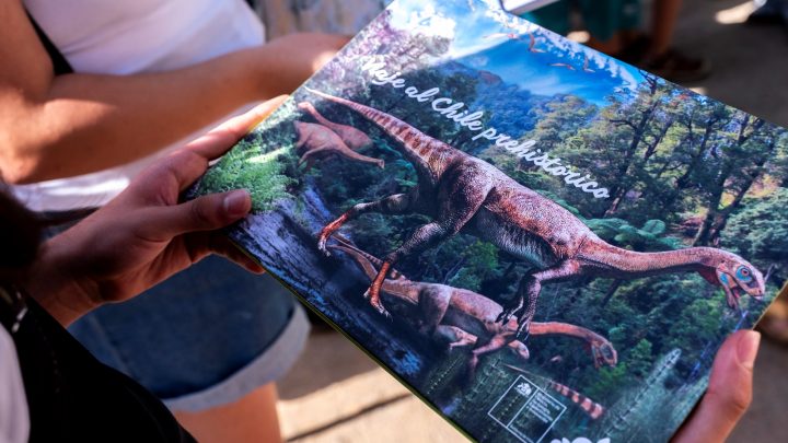 Desde visitas arqueológicas a ilustración científica: Más panoramas científicos para las vacaciones