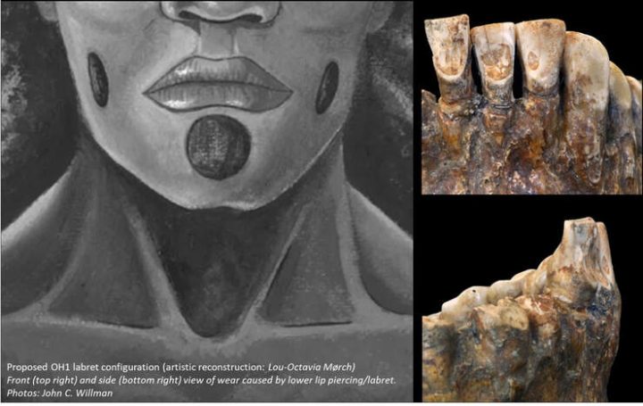 Piercings prehistóricos: Adornos labiales podrían tener 25.000 años de antigüedad