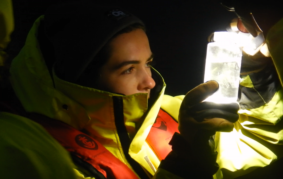 Mujeres científicas lideran la investigación en la Antártica chilena